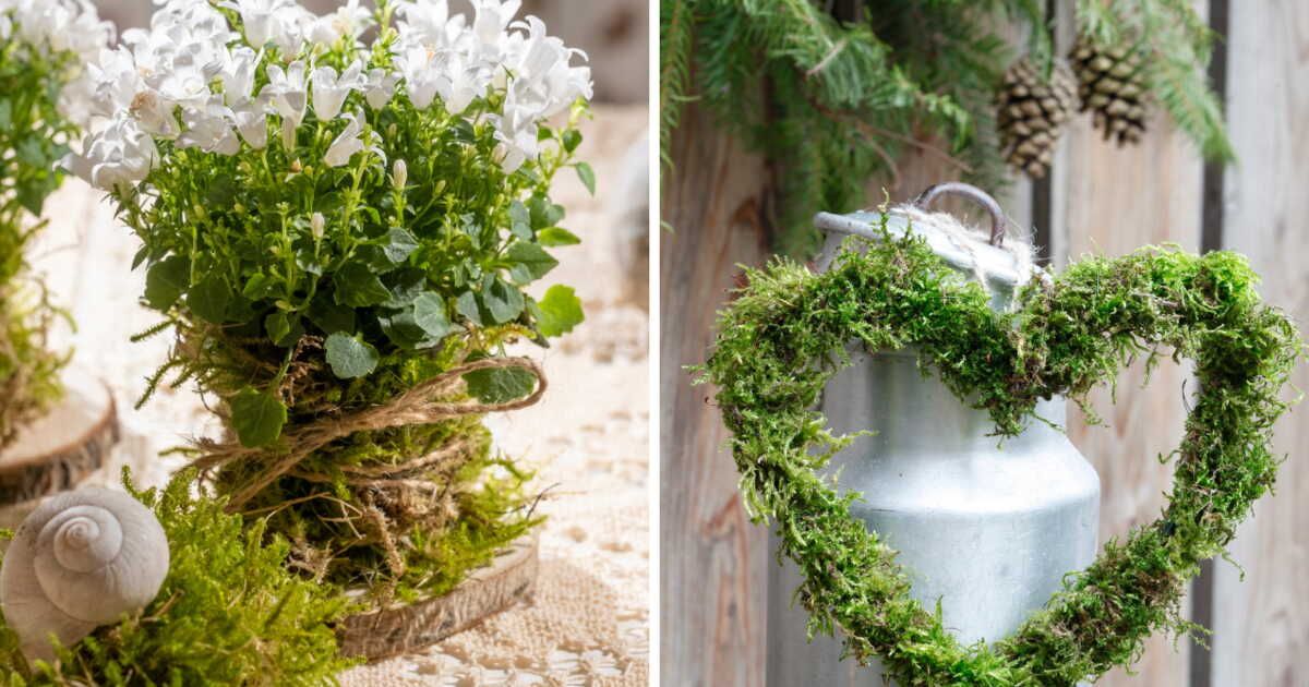 Élégance hivernale : 4 créations originales avec de la mousse