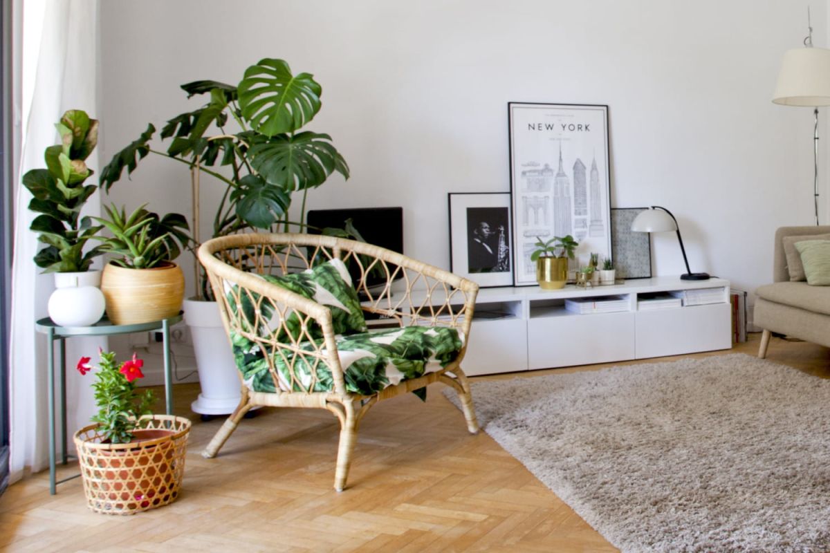 Les bienfaits des plantes d'intérieur pour votre santé