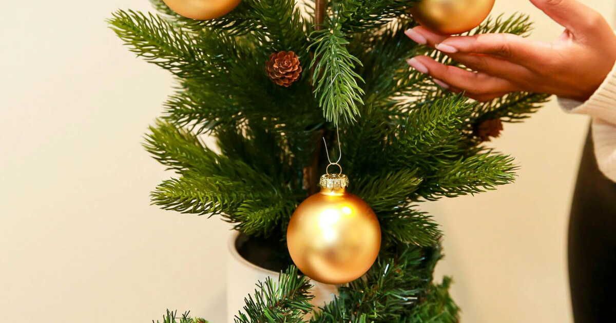 Replanter son sapin de Noël : une belle tradition verte