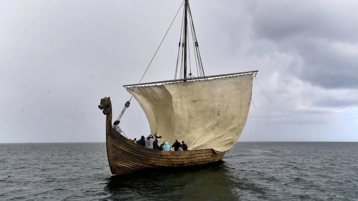 Carentan-les-Marais se mobilise pour le Téléthon 2025 : un week-end festif et solidaire