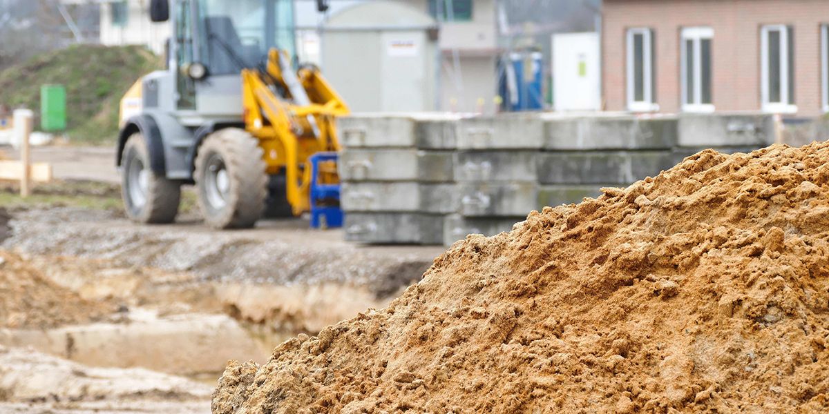 Transformez votre terrain en friche en un potager florissant