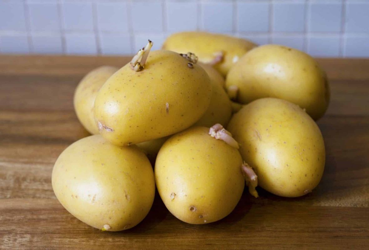 Cultiver des pommes de terre du supermarché : risques et astuces