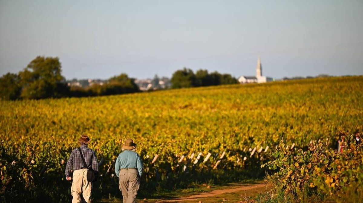 L'hiver approche : adoptez ces astuces pour garder votre énergie