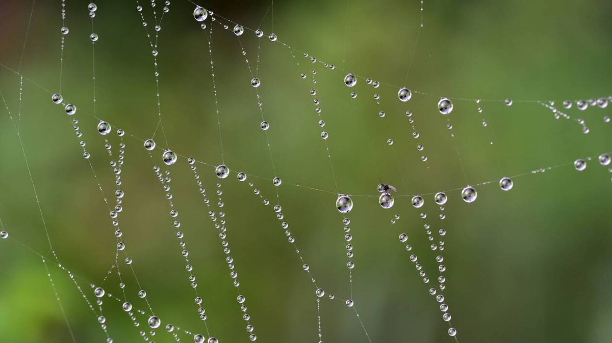 Coutances sous la bruine: météo du dimanche 7 décembre 2025