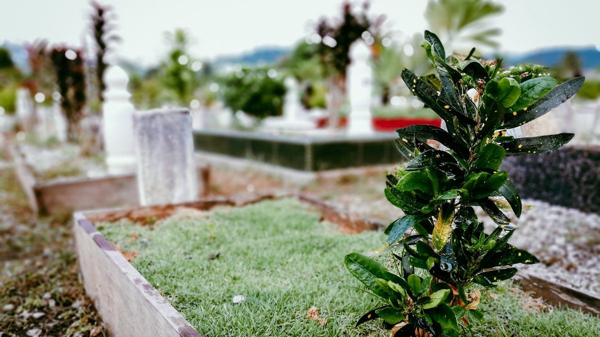 Mystère au cimetière : un corps momifié découvert dans les entrailles d'une affaire criminelle