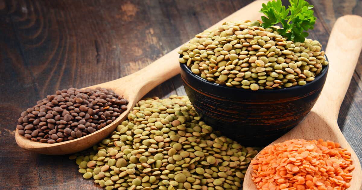 Découvrez les lentilles : un voyage au cœur de six variétés savoureuses
