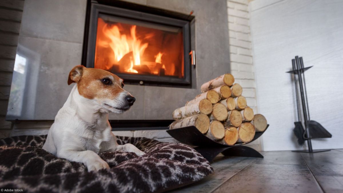 Chauffage au bois : une solution moderne pour votre confort