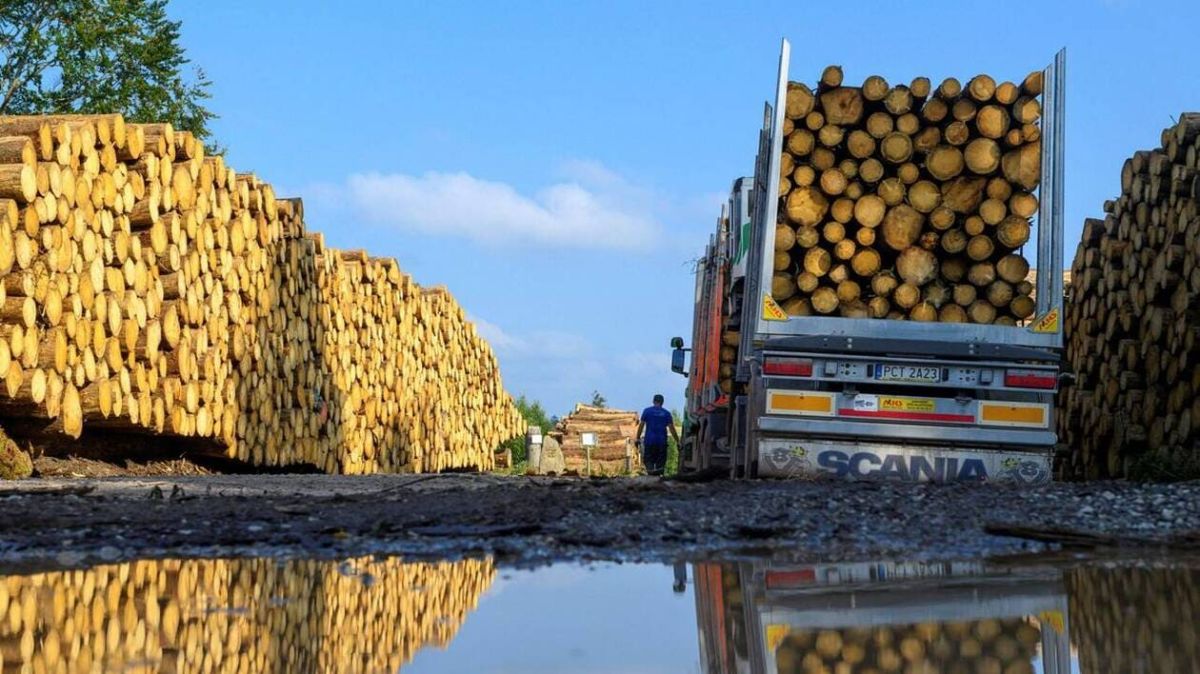 Les industriels dénoncent le recul de l'Europe sur la loi anti-déforestation