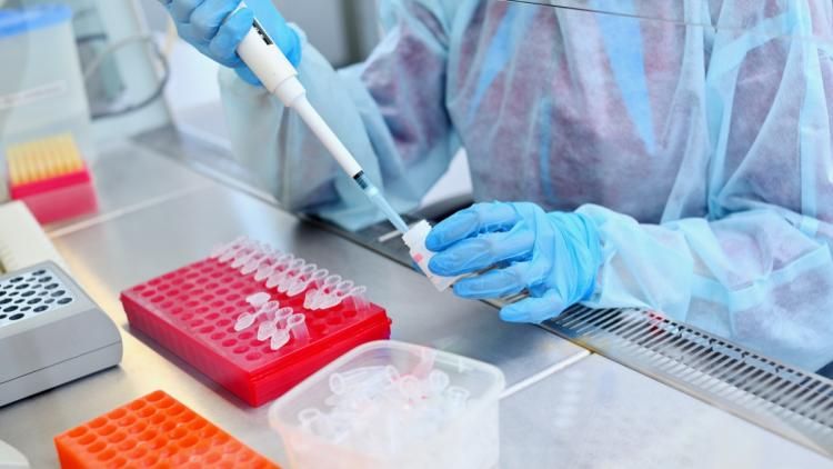 Le mystère du violeur au tournevis résolu grâce à la généalogie génétique