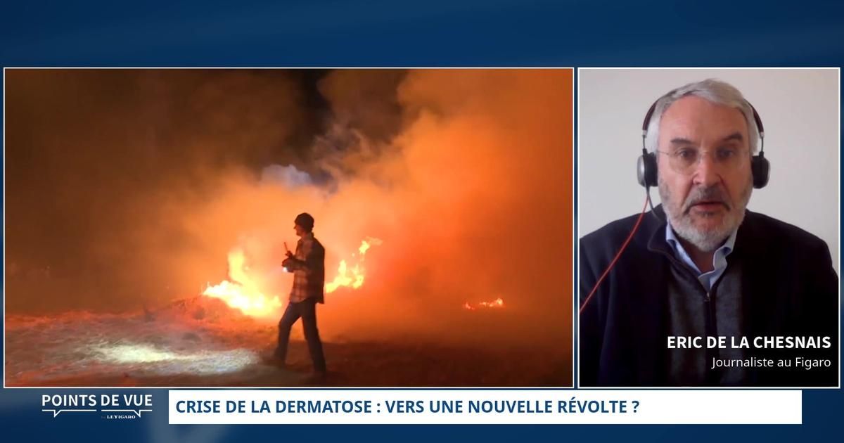 Agriculteurs en colère : l'abattage de bovins suscite une indignation en France