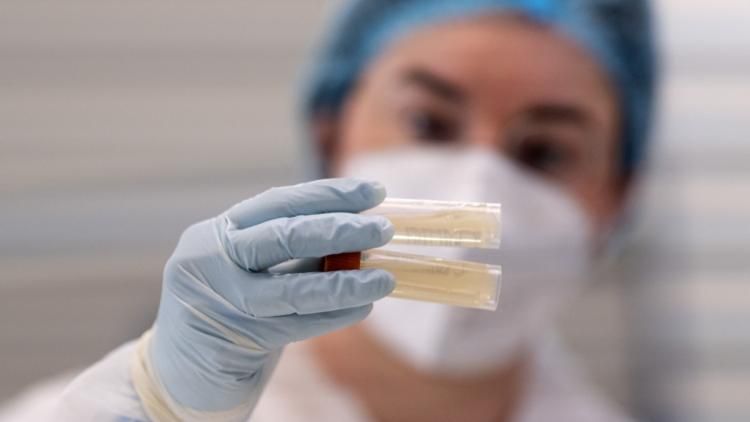 L'enquête qui fait date : comment la généalogie génétique résout des affaires non élucidées