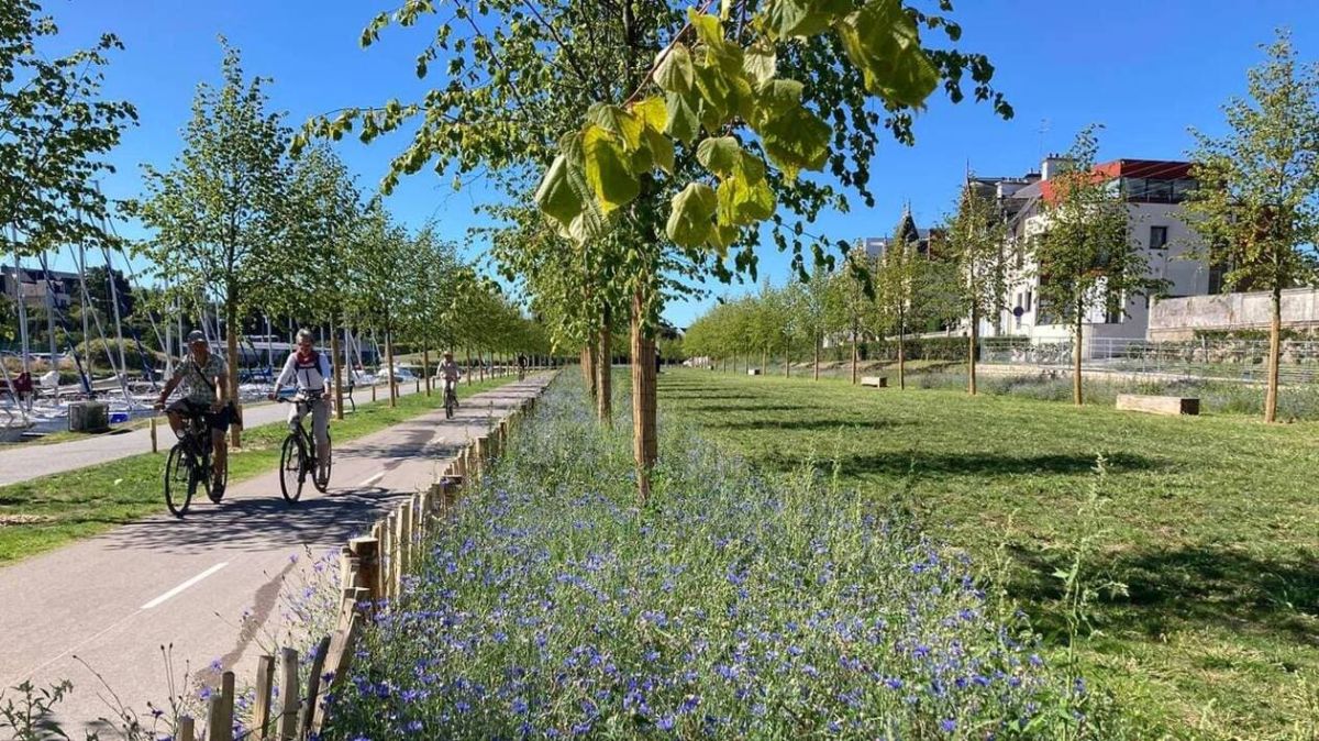 Vannes : le bilan environnemental de David Robo à l’approche des élections