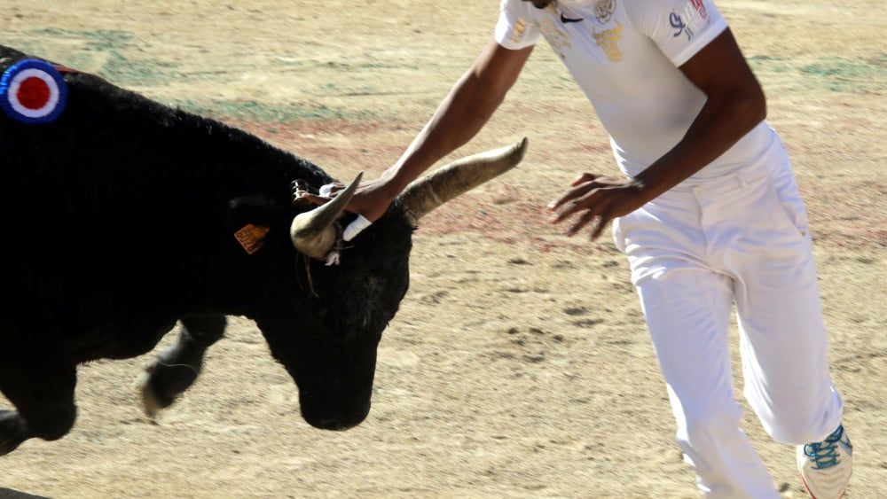 Des maires se mobilisent pour sauver les traditions taurines d'Arles