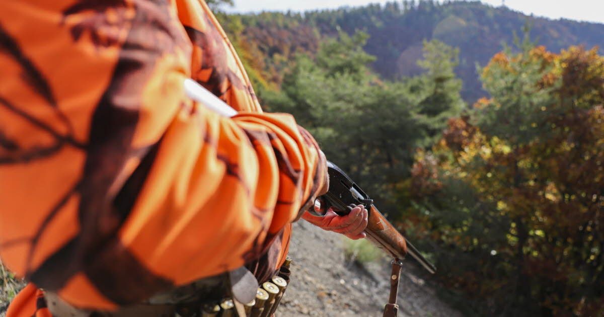 Un chasseur tire par accident sur son ami en pleine nature