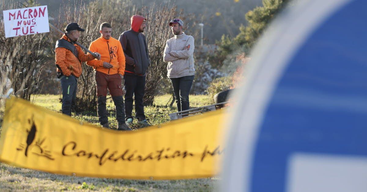 Hautes-Alpes : Des agriculteurs en colère face à l'abattage de leurs bovins