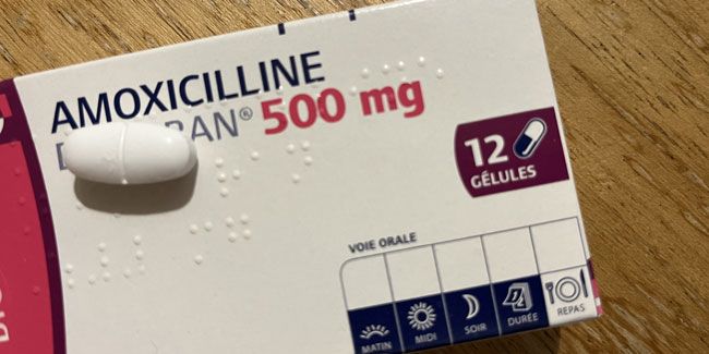 Les antibiotiques : pourquoi n'agissent-ils pas instantanément ?