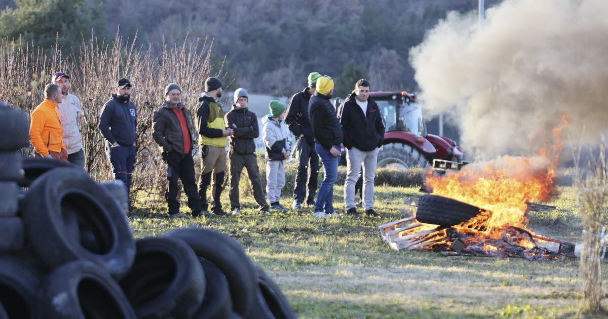 Dermatose nodulaire : la CLCV appelle à une prise en compte des éleveurs