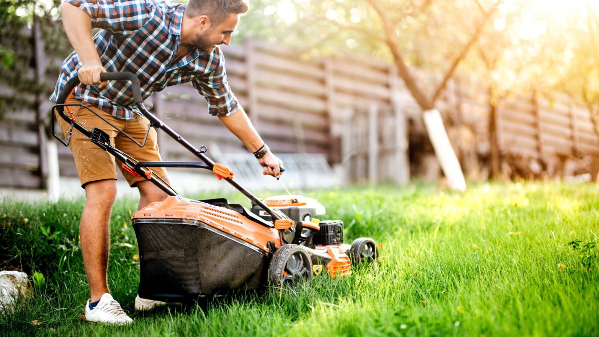 Louer des outils de jardinage : les indispensables à connaître