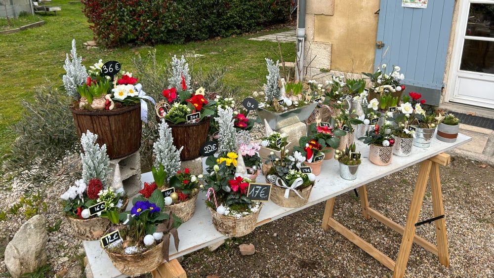 Le marché de Noël des élèves du lycée agricole : une tradition qui fait briller les yeux