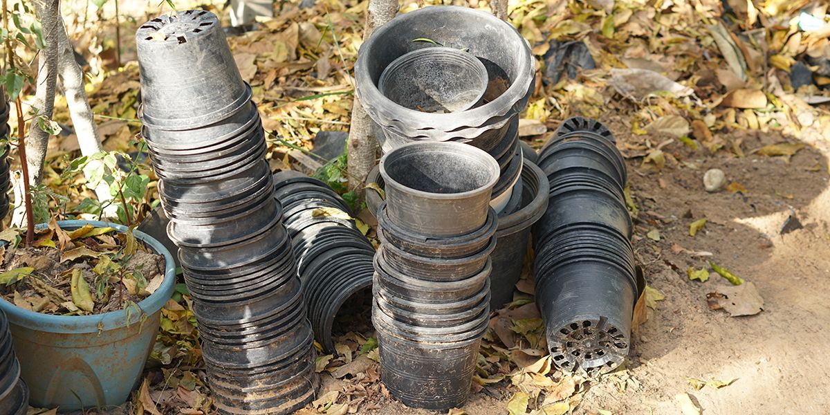 Donnez une seconde vie à vos pots en plastique : des idées pratiques et écologiques