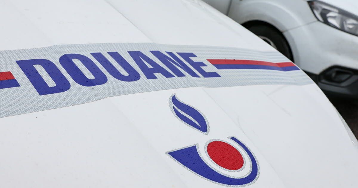 Un important coup de filet contre le trafic de cannabis dans le Vaucluse