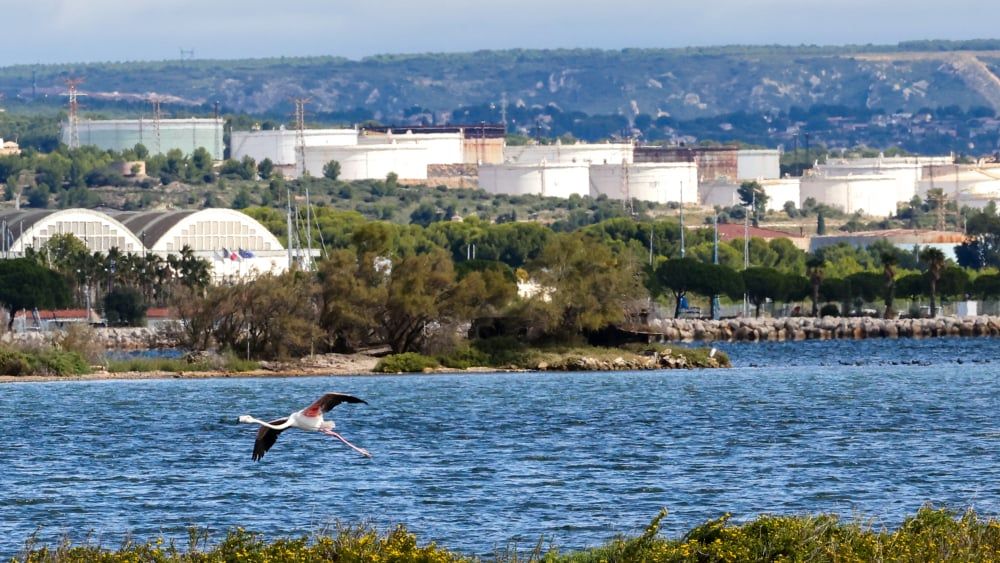 Tragédie sur le site pétrochimique : un soudeur succombe à une intoxication fatale