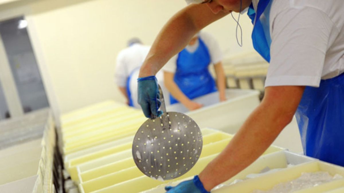 L'agroalimentaire des Deux-Sèvres face aux défis du marché moderne