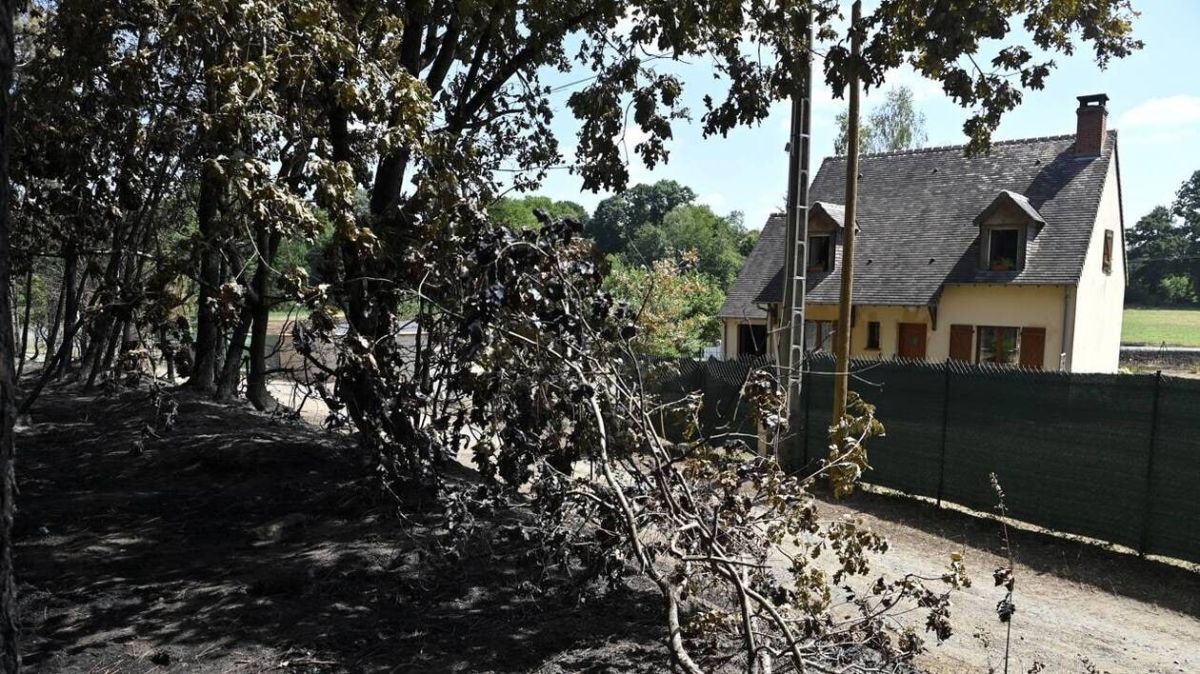 Incendies en Sarthe : le débroussaillage devient une obligation