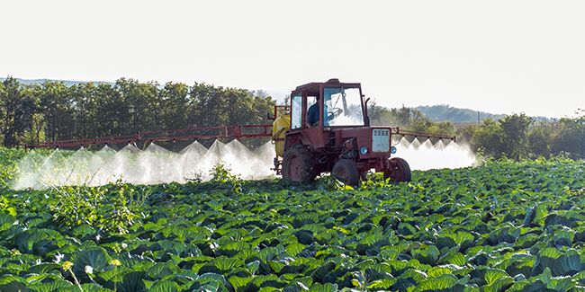 Détecter un sol pollué : des conseils pour jardiniers responsables