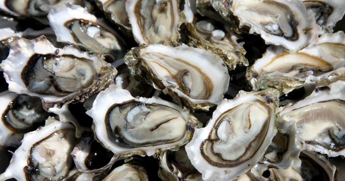 Les huîtres : un délice festif aux nombreux bienfaits