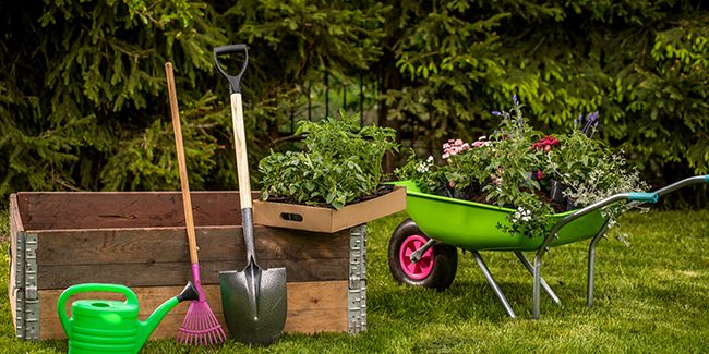 les outils et équipements nécessaires pour un jardinage efficace