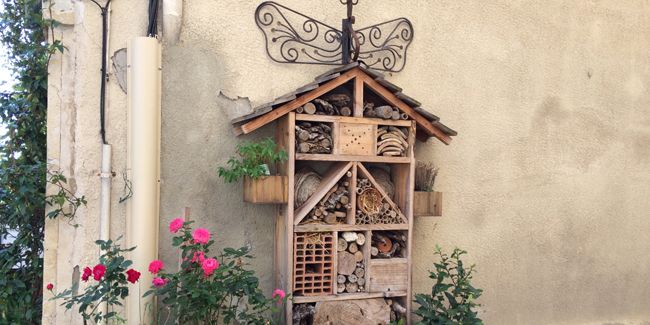 Créez un hôtel à insectes pour favoriser la biodiversité