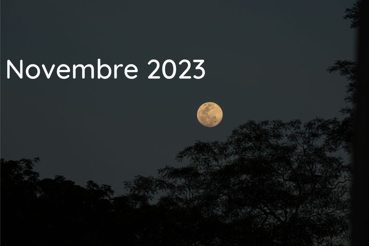 novembre au jardin : le guide lunaire pour des récoltes réussies