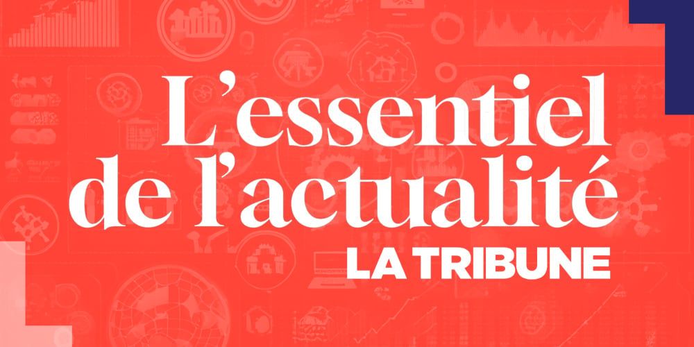 Les enjeux du Mercosur et la répercussion sur l'agriculture française