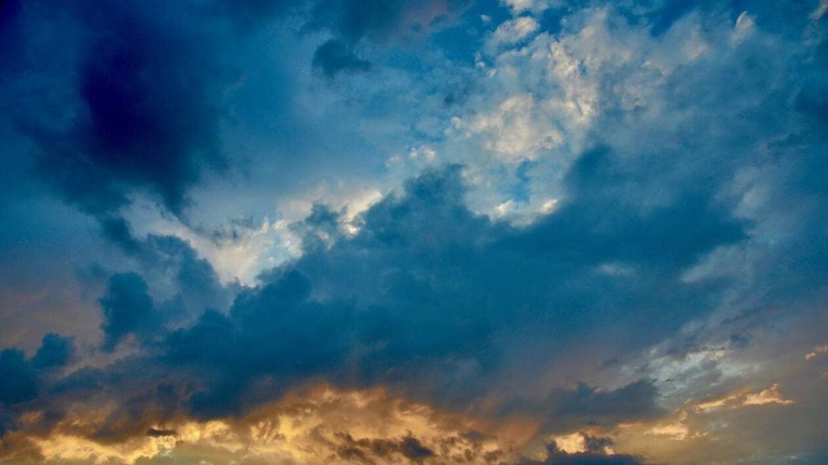 un temps frais et brumeux attend l'aigle ce jeudi