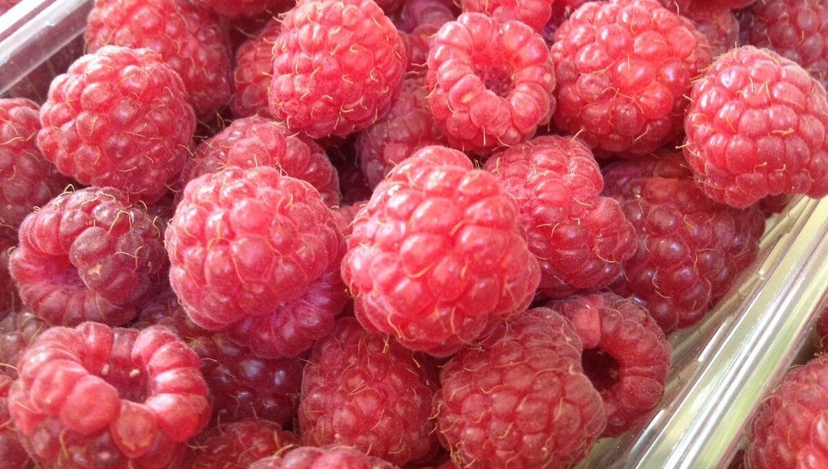 Deux agriculteurs drômois dans l'œil du cyclone pour trafic de pesticides interdits