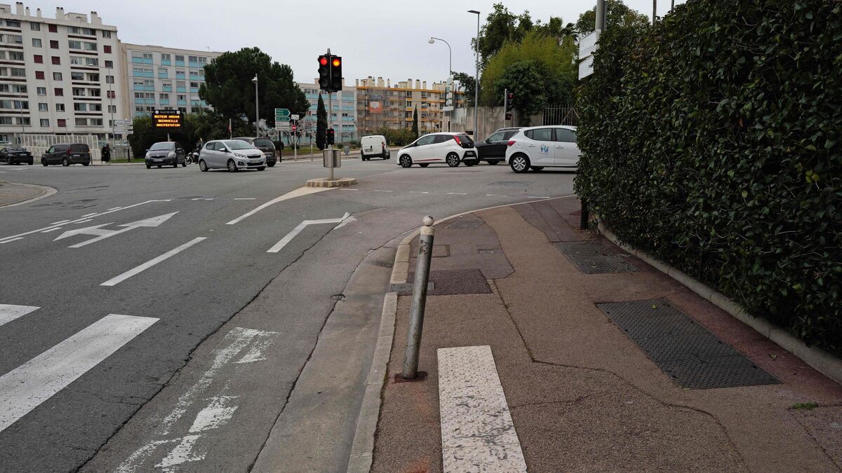 une tragédie à nice : le meurtrier présumé de lizabete, mère de famille, arrêté