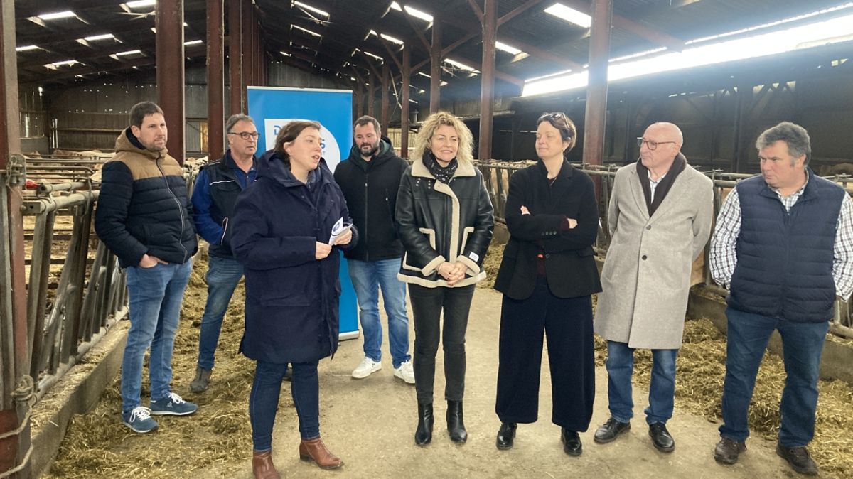 Restauration scolaire : les collèges des Deux-Sèvres adoptent le 100 % français