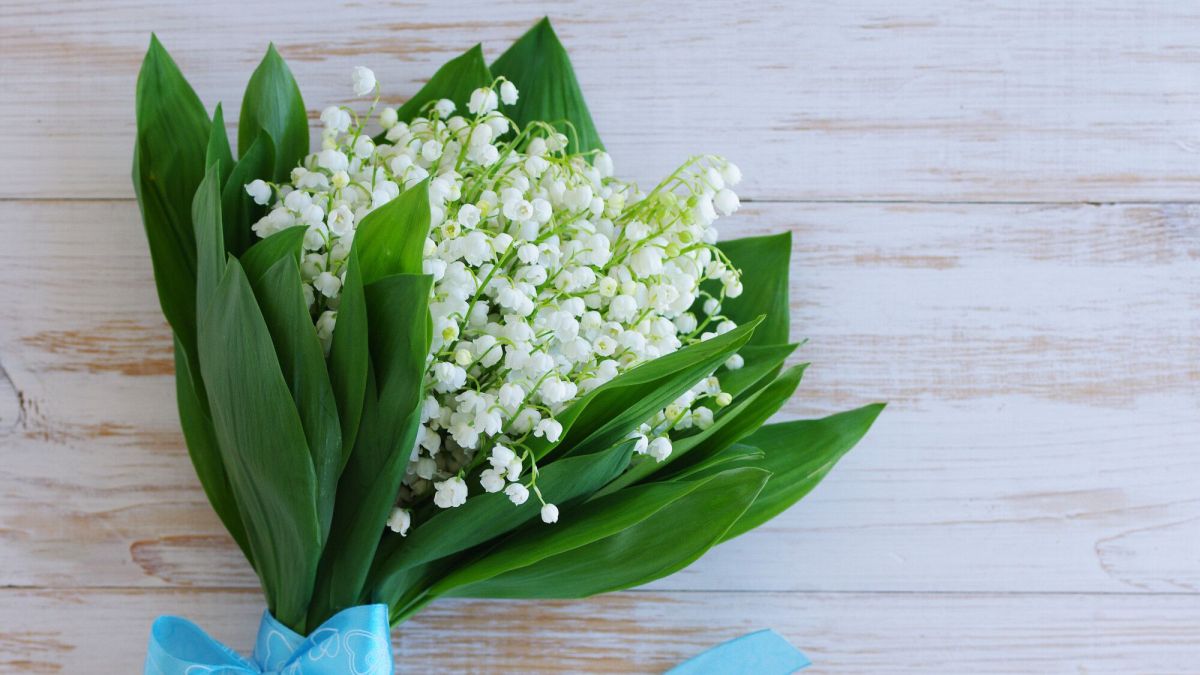 Vendre du muguet le 1er mai : ce que vous devez savoir