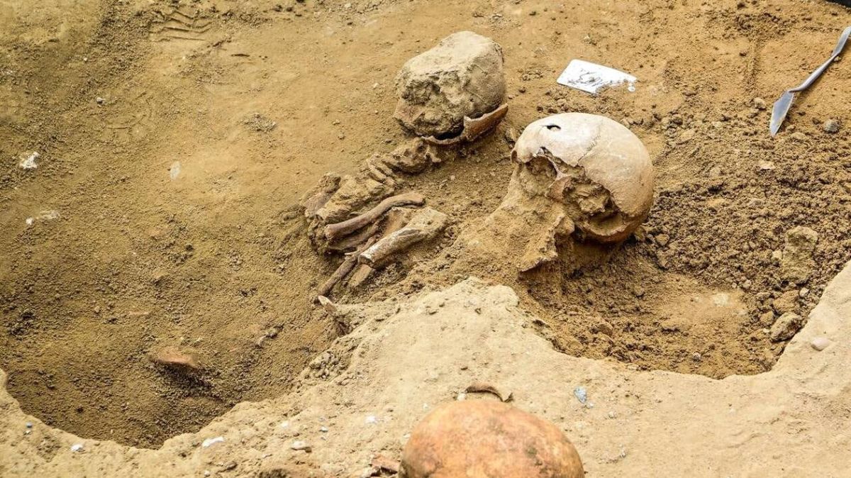 Des crânes humains disparus au cœur du Mans : une enquête s'ouvre