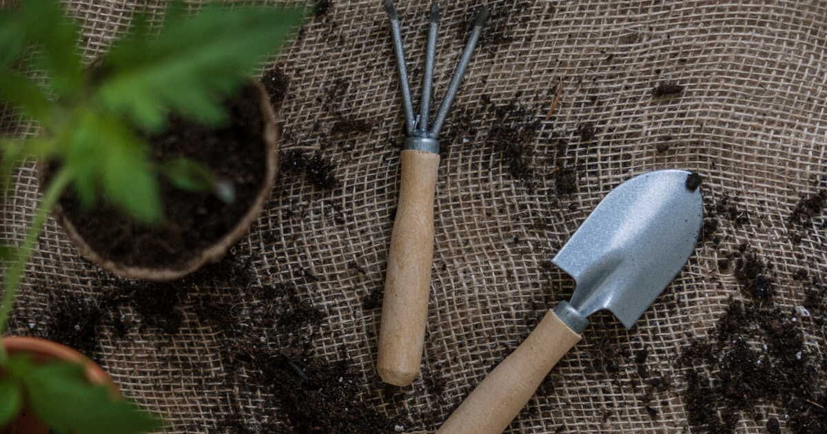Devenez un expert du jardinage : astuces pour débutants