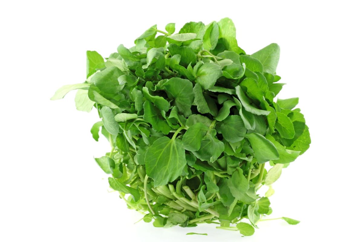 Comment rafraîchir une salade flétrie ?