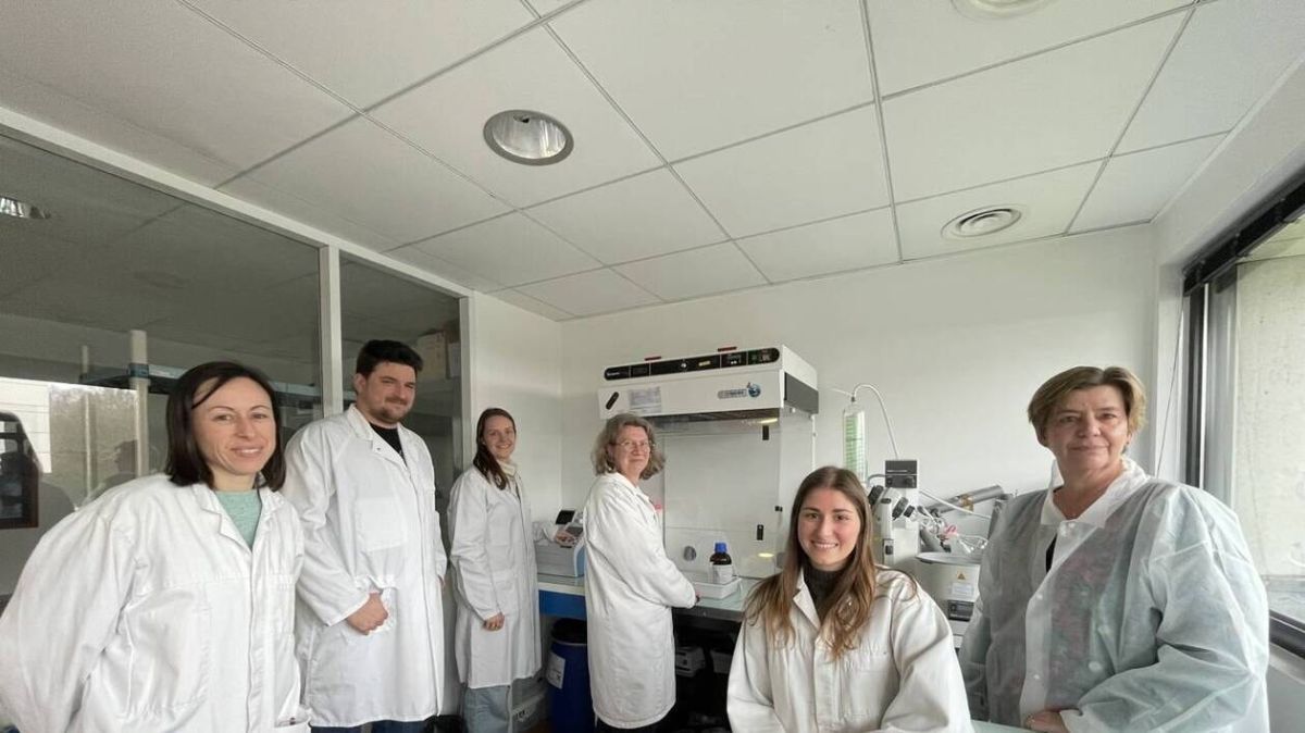 Yslab : une entreprise quimpéroise innove avec une alternative au sérum physiologique