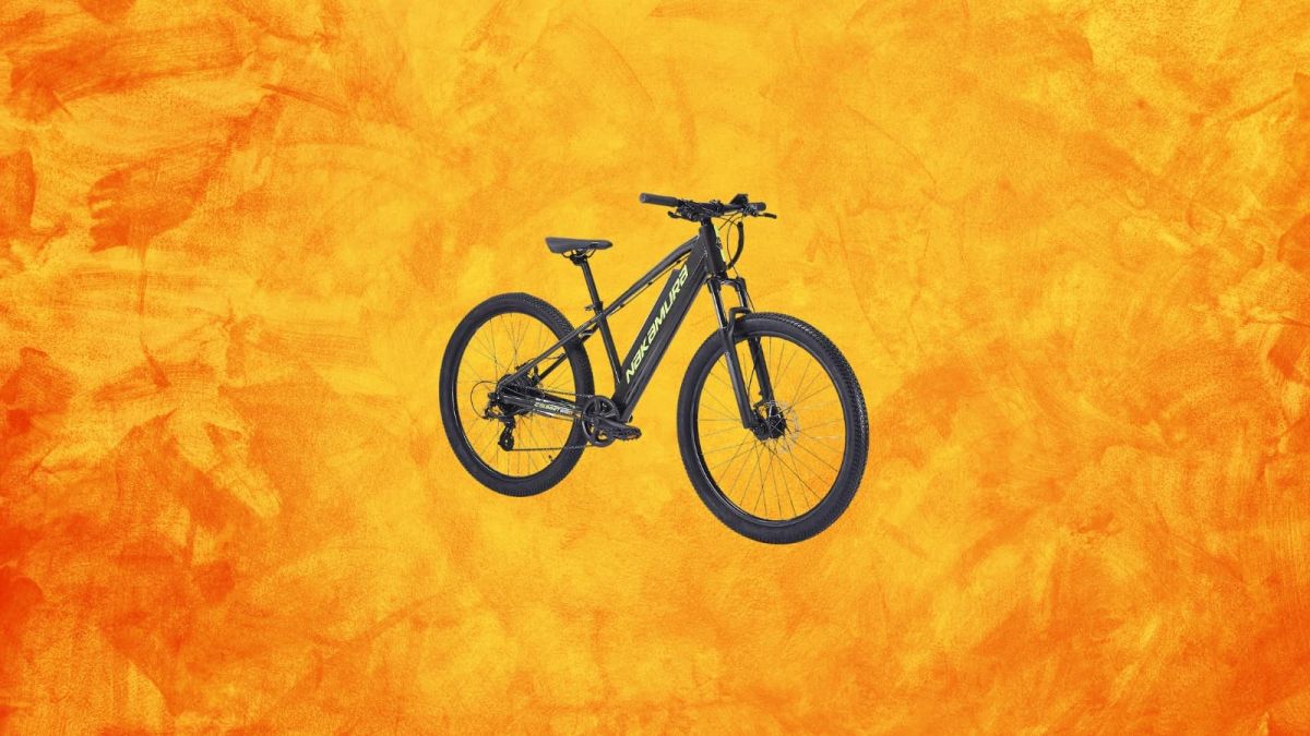 le vélo électrique idéal pour les aventures familiales