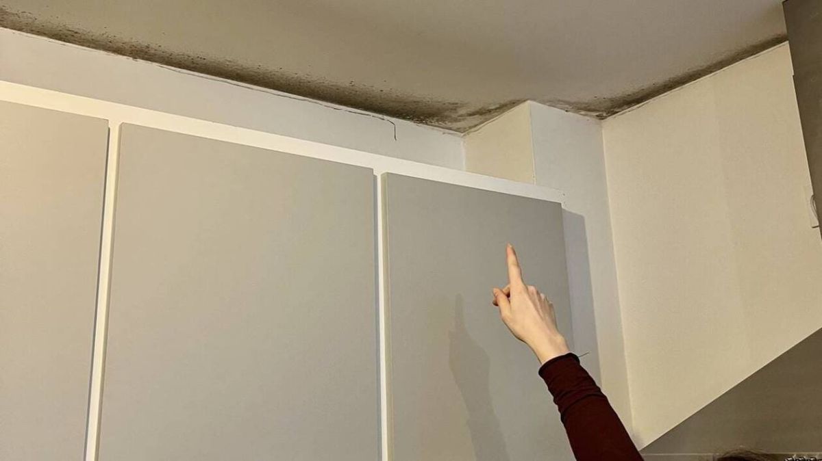 Des fissures et des moisissures : Vannes face à la construction rapide