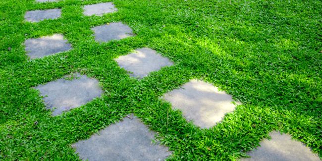 Aménager votre jardin avec une allée en pas japonais