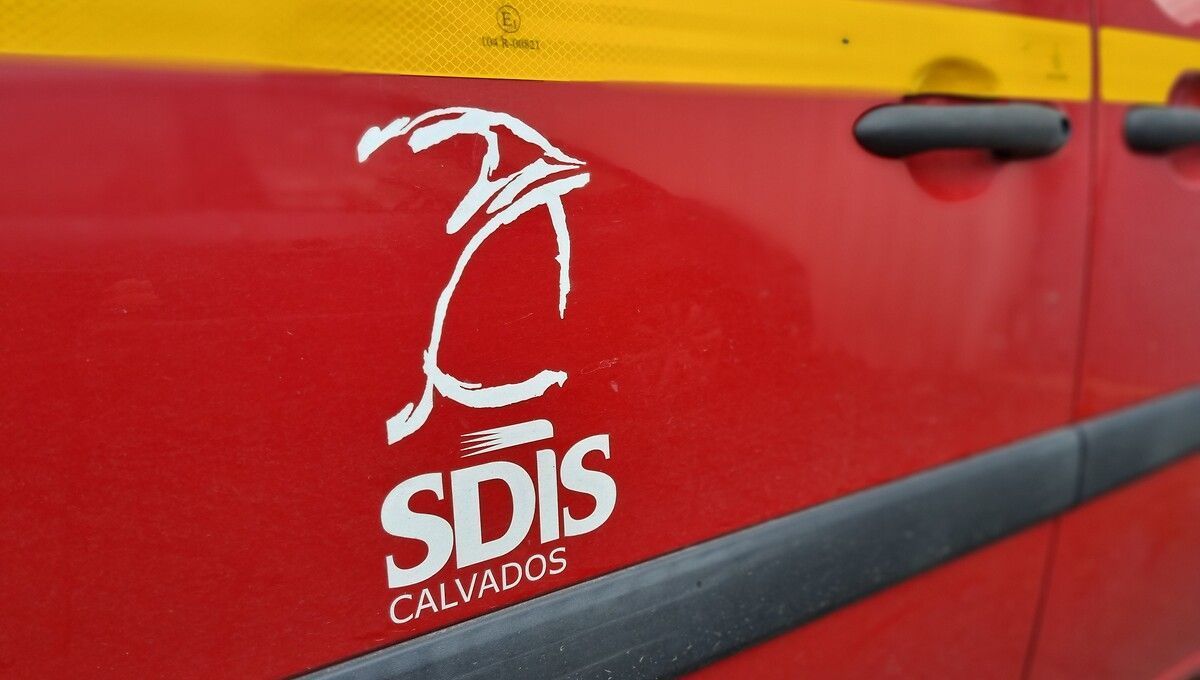 Un trentenaire perd la vie dans un tragique accident d'abattage en Normandie