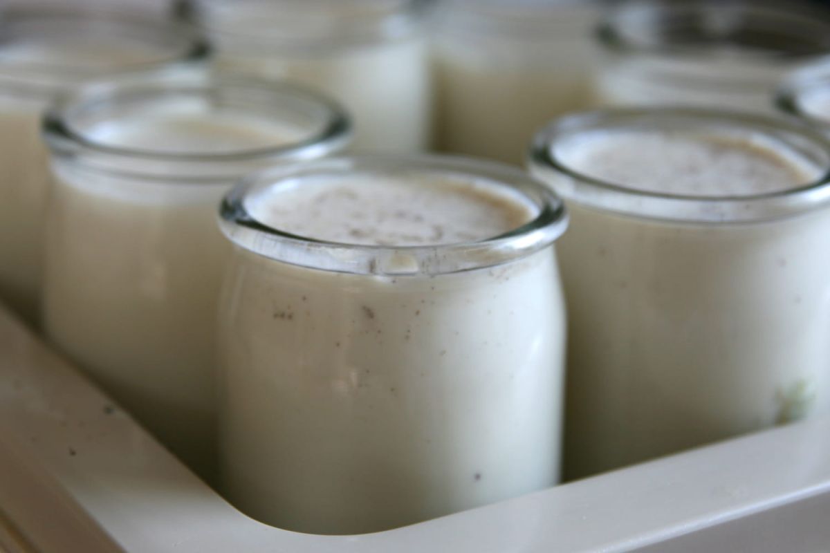 Comment faire des yaourts maison facilement ?