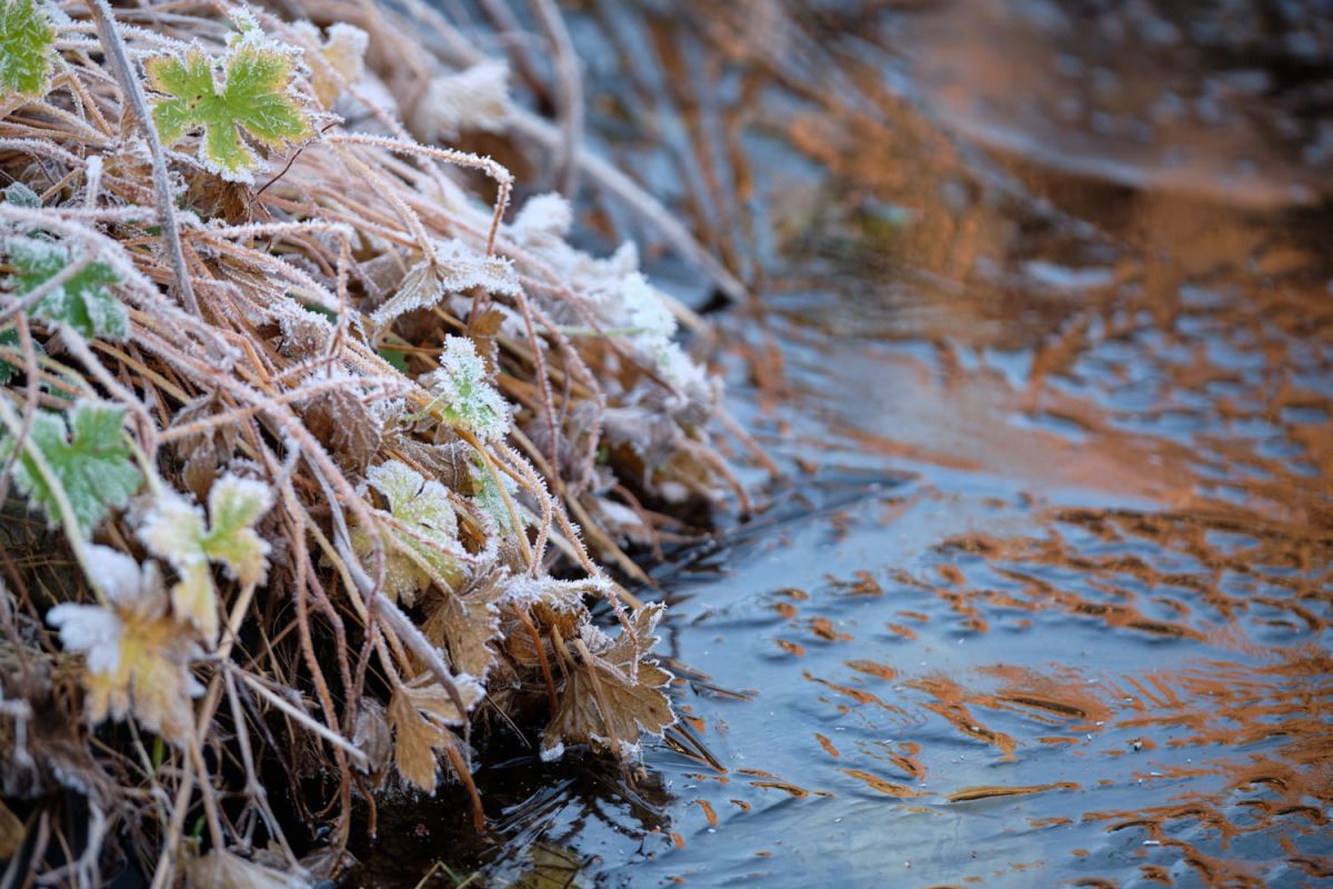 Préparez votre point d'eau pour l'hiver : conseils et astuces
