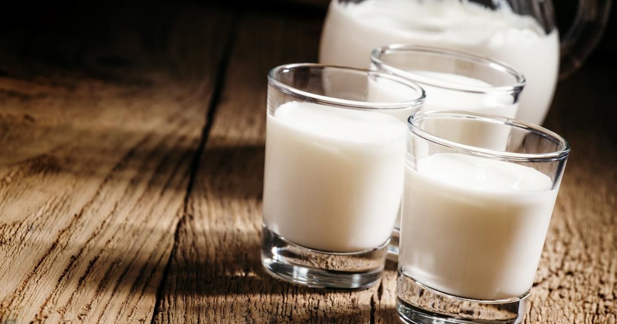 le lait de vache sous le feu des critiques : entre croyances et vérités